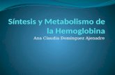 S­ntesis y metabolismo de la hemoglobina