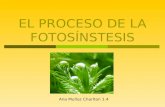 El proceso de_la_fotosínstesis_1_