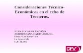 Consideracion Tecnico - Economicas Cebo Terneros