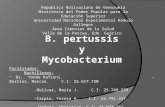 B. pertussis y mycobacterium