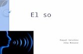El So(Info)