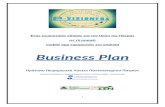 Business plan e visioners