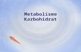 Metabolisme kh