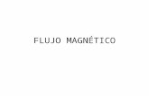 Copia de-flujo-magntico-1225671598866362-8