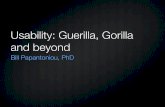 Usability: Guerilla, Gorilla And Beyond