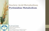 Nucleic acid metabolism lecture nam04