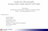 Inside the Wavelength: Seeing Really Small Objects with Light - Professor Sir John Pendry