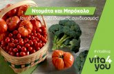 Ντομάτα και Μπρόκολο: Ισχυρός αντιοξειδωτικός συνδυασμός!