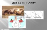 Geometry unit 7.2