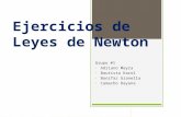 Grupo 1 leyes de newton-ejercicios