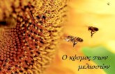 μέλισσες τελικο