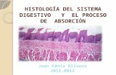 HISTOLOGÍA DEL SISTEMA DIGESTIVO Y EL PROCESO DE ABSORCIÓN