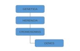 Ac nucleicos genetica bioing gen