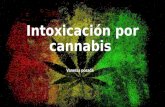 Intoxicación por cannabis.pptx