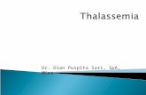 IT 6 - Thalassemia Pada Anak - DPS