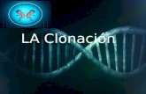 La Clonaci³n Presentacion de Biologia