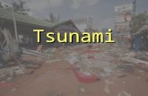 Tsunami Slides (1)