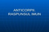 08.Anticorpii.raspunsul Imun09