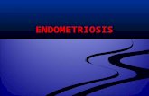 Endometriosis BW 2013