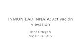 Clase 4 Inmunidad Innata y Evasion 2015
