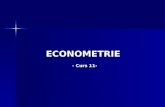 Curs11 Econometrie IpotezeDV 2013