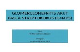 Glomerulonefritis Akut Pasca Streptokokus (Gnaps)