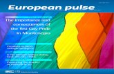 CCE European Pulse 67 Μαυροβουνιο