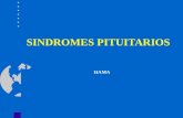 Sd Pituitarios