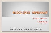Lucrari Practice La Biochimie Generala_BiochimieI_2013