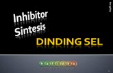 3. Inhibitor Sintesis DINDING Sel