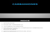 EXPOSICIÓN DE ORGANICA CARBANIONES