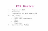 PCR Basics -Power Point