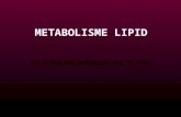 Metabolisme Lipid [Recovered]