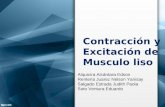 Contraccion y Exitacion de Musculo Liso