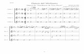 Danza del Molinero - score.pdf