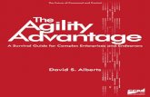 Agility Advantage Book David S Albert