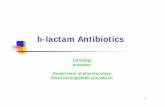 b LactamAntibiotics