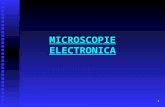 LP 3 - Microscopie electronica.ppt