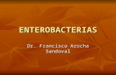 Enter o Bacterias