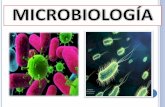 Tema 1.Historia de la microbiología