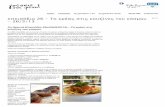 Το κρέας στις κουζίνες του κόσμου.pdf