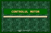 Controlul Motor