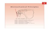 Biomechanics Chapter