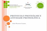 Protocolo prote³lise