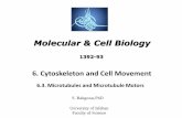12. Microtubules - cell biology
