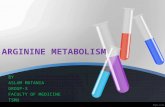 Arginine metabolism by  aslam matania