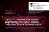 Crystal structure of Clostridium perfringens enterotoxin displays features of β-pore-forming toxins | Estudos de caracterização estrutural de proteínas: análise de uma publicação