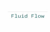 3. Fluid Flow