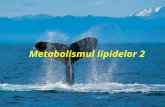 Metabolismul lipidelor_2