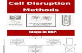 Cell Disruption